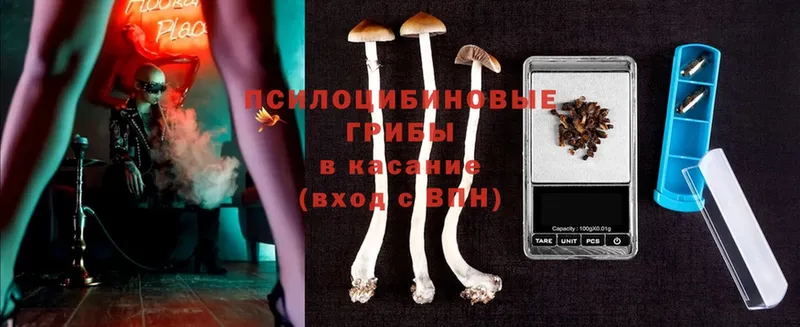 мега как войти  Нестеров  Галлюциногенные грибы MAGIC MUSHROOMS 